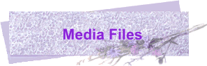 Media Files