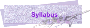 Syllabus 2