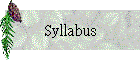 Syllabus