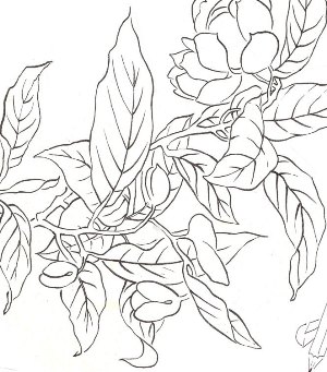 123
