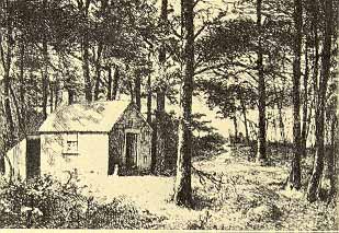 cabin_walden1.JPG